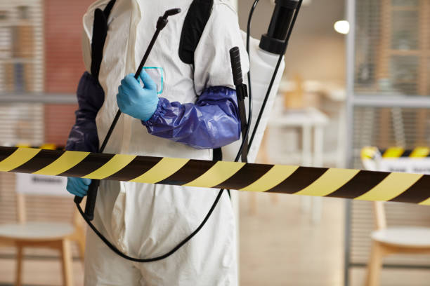 Professional Sewage Cleanup technician working in North Waterboro, ME